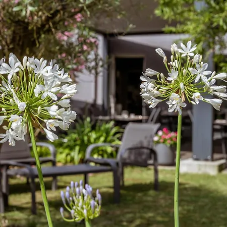 Hotel Logis L'amandier 3*